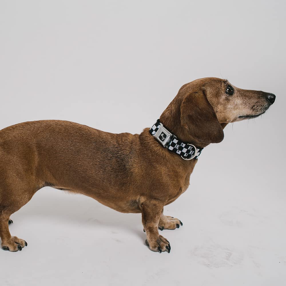 Buckle-Down Checker Black/White Dog Collar Bone, Medium/11-17'
