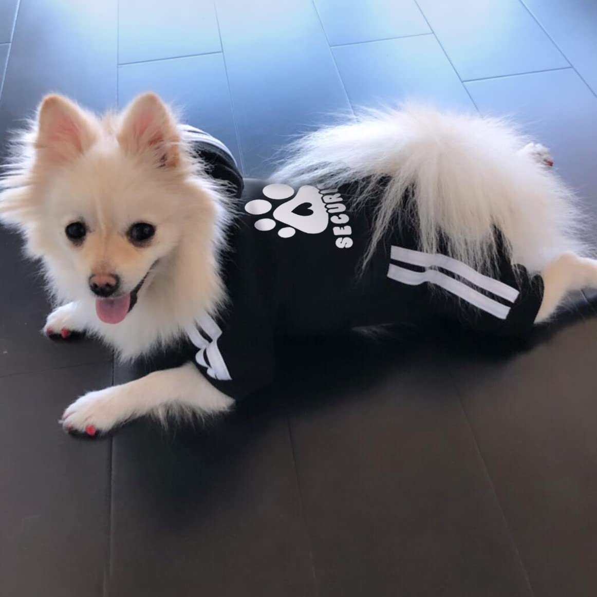 Otunrues Dog Hoodie, Dog Clothes Pullover 4 Legs Dog Jumpsuit Fleece Sweatshirt Security Patterns Dog Outfit Doggie Winter Coat Puppy Hoodied For Small Medium Large Dogs Cats Apparel(Black, Xxs)