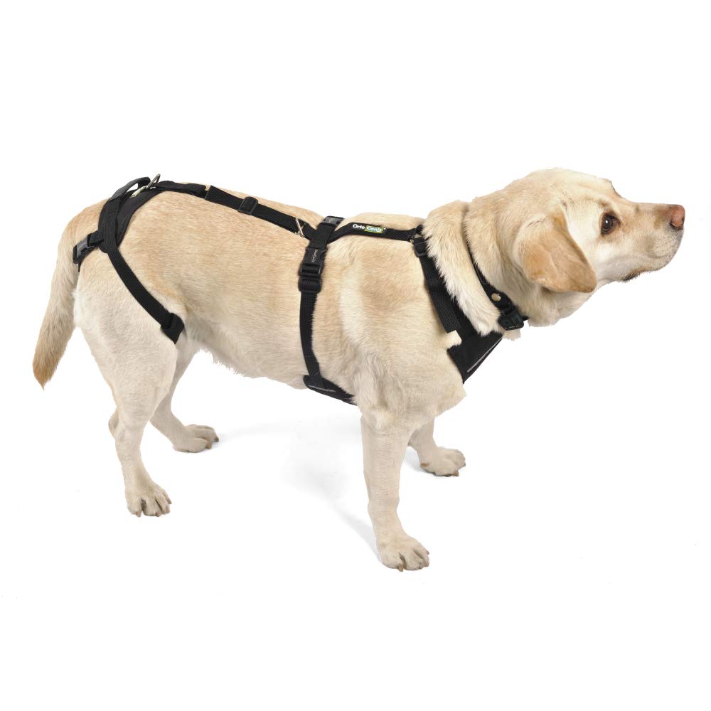Ortocanis - Full-Body Dog Harness For Fore And Hind Support. Size S
