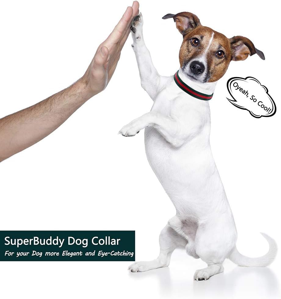 Premium Dog Collar, Cute Dog Collars Luxury Style, Durable Pet Collars And Dog Leash With Metal Buckle Safety For Medium Dogs