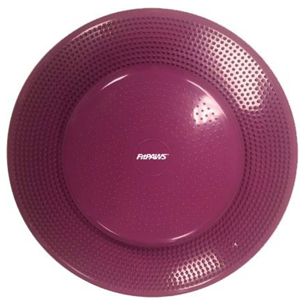 Fitpaws® Dog Balance Disc – 22”, Razzleberry | Dog Exercise Equipment | Workout Tool For Strength, Core, Stability & Rehabilitation