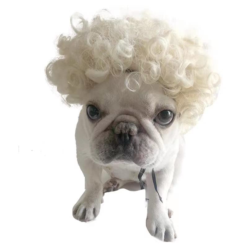 Spa Day Dog Costume Cosplay Wig, Curly Hair Pet Cat Wigs For Halloween Parties Dog Hats Wigs For Small Medium And Large Dogs Adjustable(Pet Head Circumference 8-27 Inches)