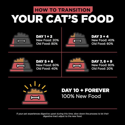 Go! Solutions Sensitivities Limited Ingredient, Grain-Free Dry Cat Food, Salmon Recipe for Sensitive Stomach, 3 lb Bag