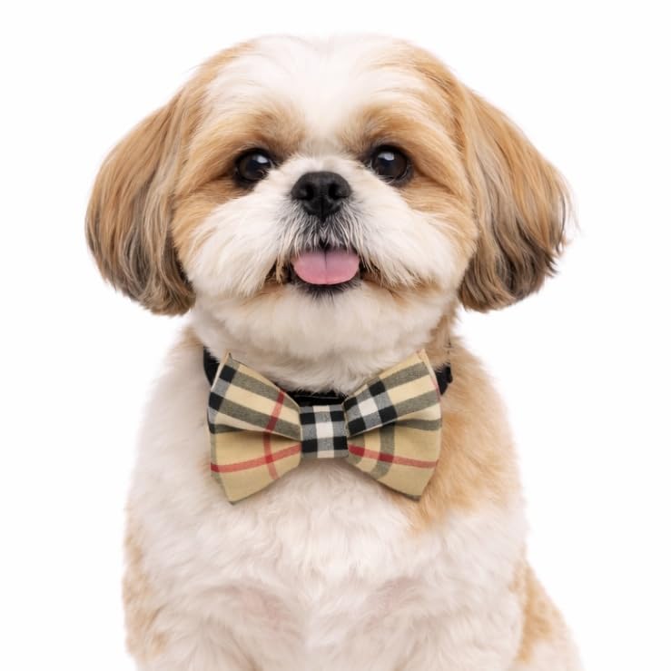 That Dog In Tuxedo Furberry Plaid Dog Bow Tie With Adjustable Dog Collar (Beige, Size Xl)