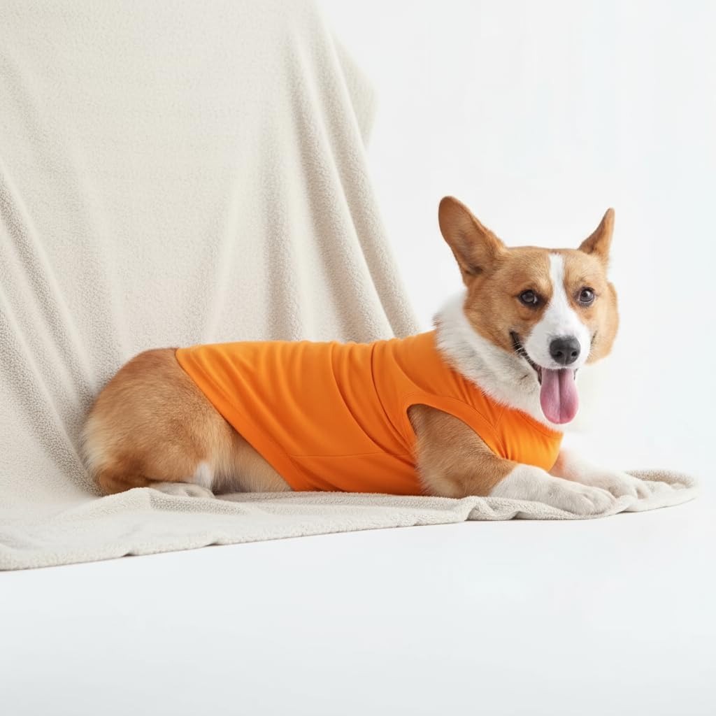 Chol&Vivi Dog Clothes, 2pcs Soft Cotton T-Shirts for Small, Medium, Large, Extra Large Dogs (Red and Orange, S (16 Chest))