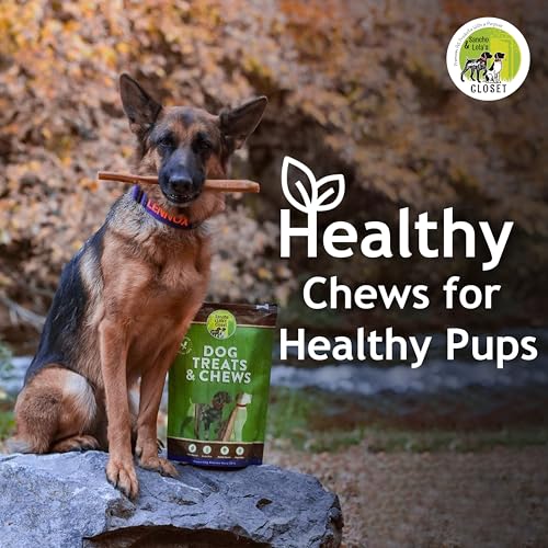 Supreme 12-inch Jumbo Bully Sticks by Sancho and Lolas (5 Pack) All-Natural, Long-Lasting Dog Chew Treats - Free-Range, Grass-Fe