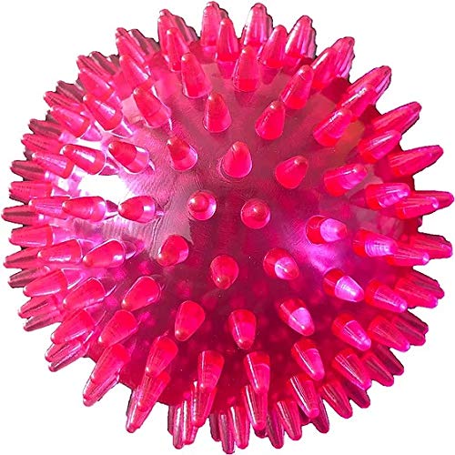 PetSport Gorilla Ball Scented, Super Durable, Ultra Light and Ultra Bouncy Dog Toy for Small, Medium and Large Dogs, Assorted Co