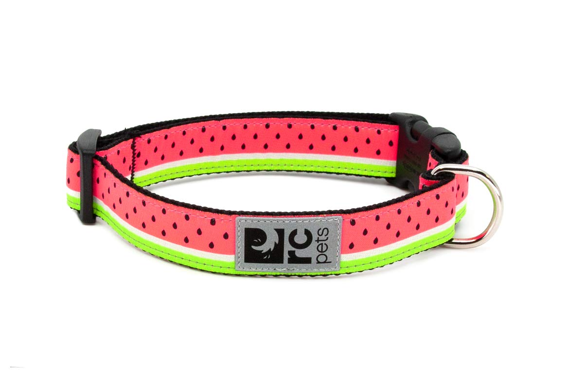 Rc Pets 3/4 Inch Adjustable Dog Clip Collar, Small, Watermelon
