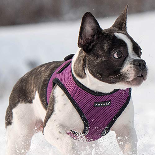 PUPPIA International Harness Soft B Vest, Large, Purple