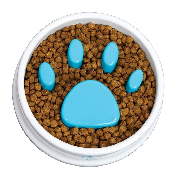 Getzet Bowl For Dog And Cat With Funny Pattern Pet Slow Feeder Dog Bowl Fun No Chocking Polypropylene Bloat Stop Food Bowl  Mul