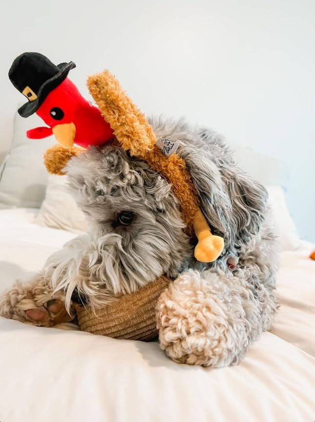 Midlee Pilgrim Turkey Thanksgiving Dog Headband