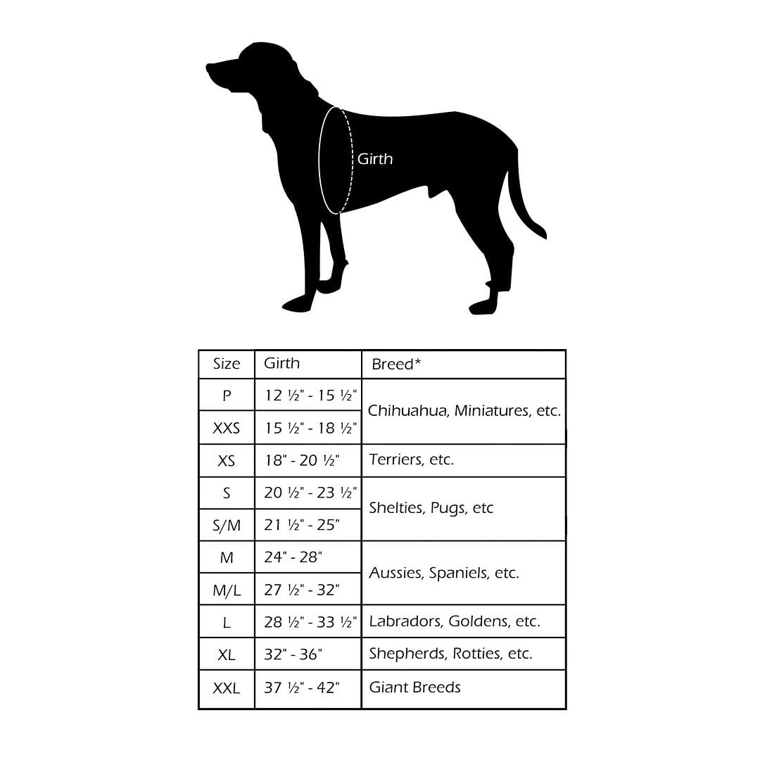 ComfortFlex Sport Dog Harness - Fully Padded, Reflective, Adjustable, Lightweight No-Choke, No-Pull, Non-Chafing Design for Acti