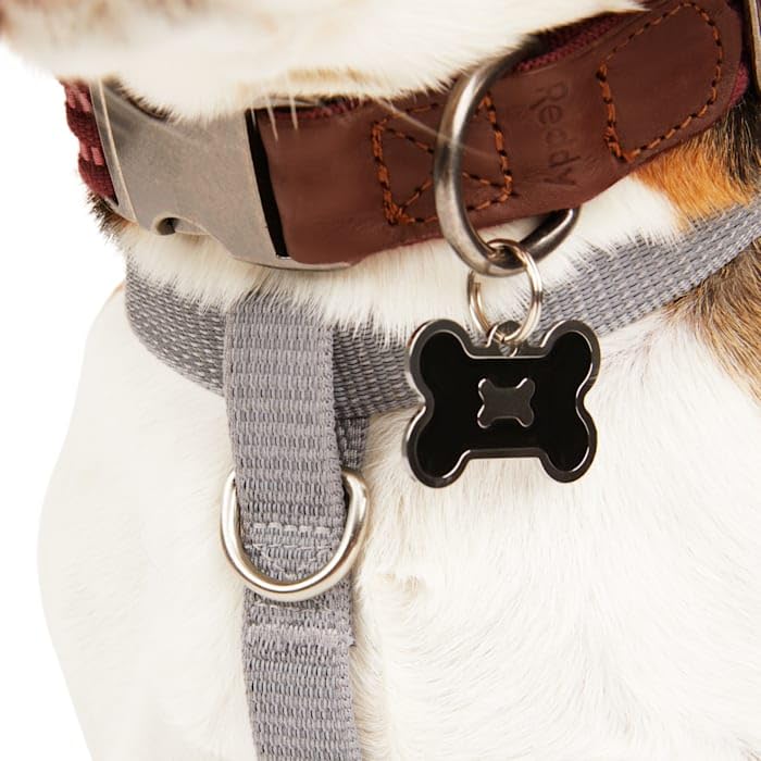 Reddy Grey Reflective Dog Harness Medium