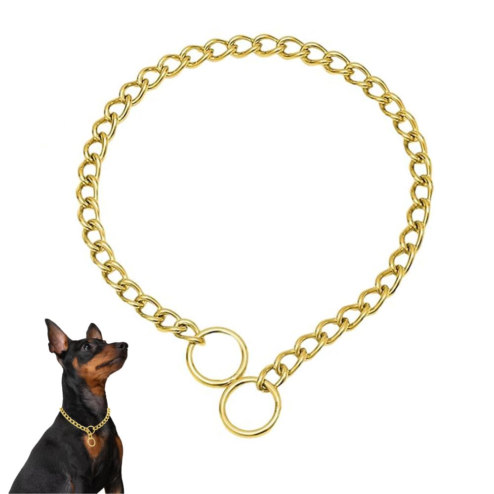 Gold Choke Chain For Dogs,Heavy Duty Training Choker Collar For Dogs Metal Slip P Link Martingale Collars Puppy Chain For Xxs Xs