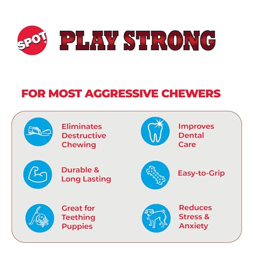 Ethical Pets 54101 Play Strong Rubber Ball With Rope, 2.25', Red