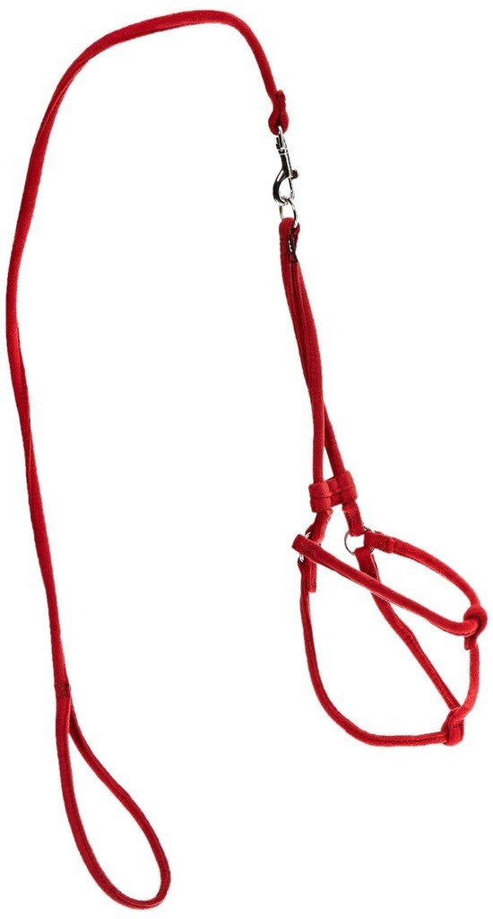 Dogline Soft And Padded Comfort Microfiber Leash For Dogs M (W1/3 X L36 X G18-26), Red