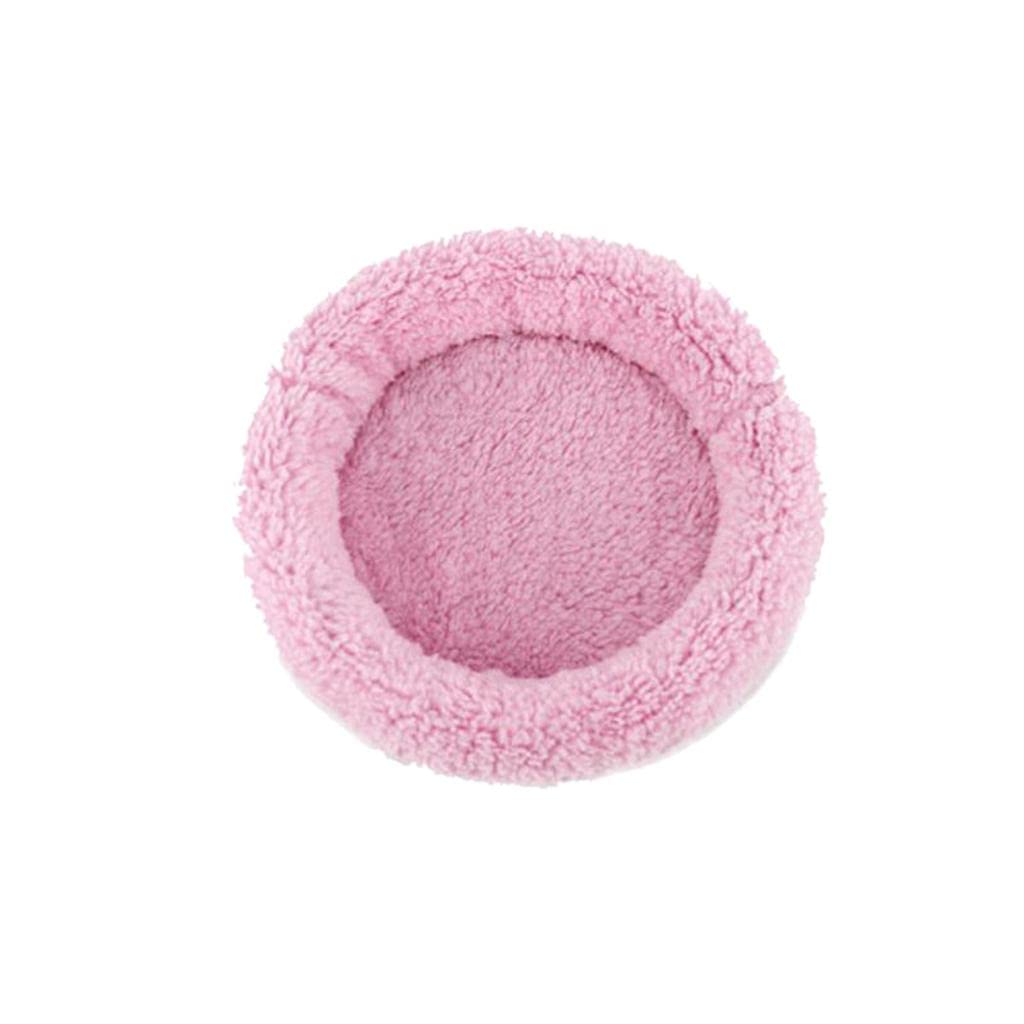 Pet Play Toy Sleep Gym Pad Mat Combo for Guinea Pig Hamster Small Animal