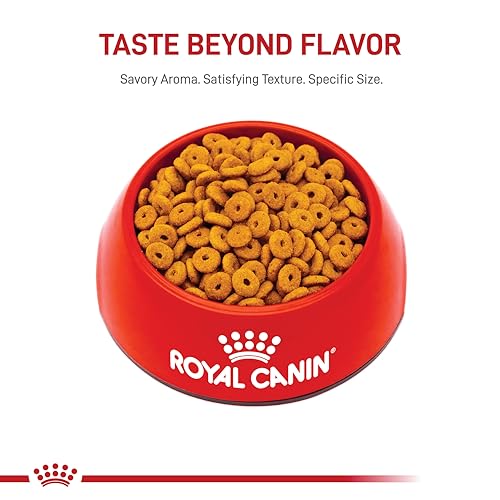 Royal Canin Feline Care Nutrition Appetite Control Care Dry Cat Food, 14 lb