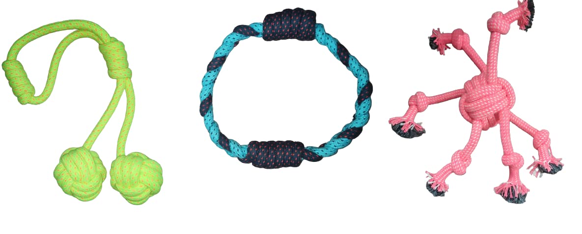 Dog Trust Rope 2 Knotted Ball/Ring Ball/Crazy Ball (Pack Of 3) Small Size Fetch Toys Chew Toys Suitable For Medium And Small Bre