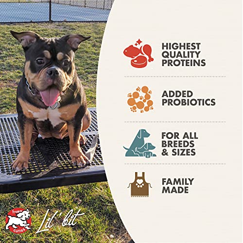 Fromm Heartland Gold Adult Premium Dry Dog Food - Beef Recipe - 12 lb