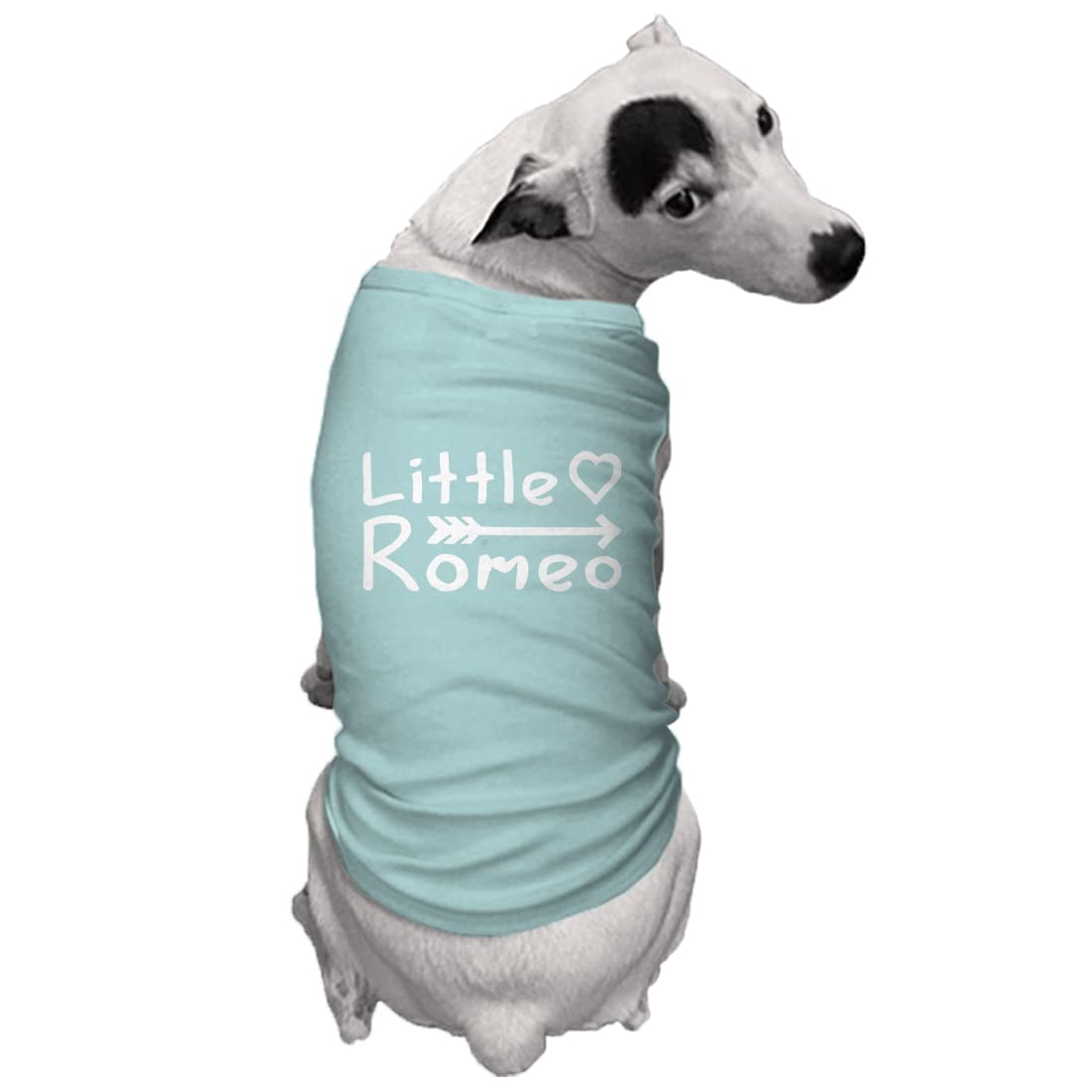 Little Romeo - Stud Handsome Cute Juliet Love Dog Shirt (Chill, Large)