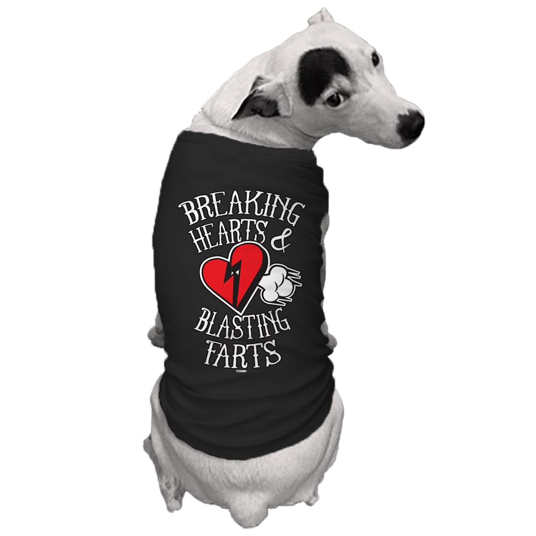Tcombo Breaking Hearts & Blastings Farts Dog Shirt (Black, Medium)