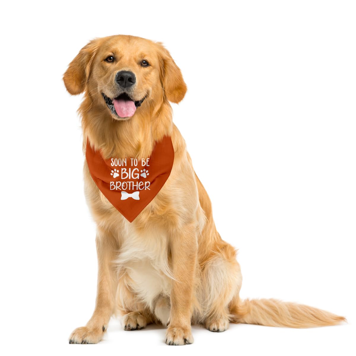 Soon To Big Brother Dog Pregnancy Announcement Shirt - Big Dog Bandana & Scarf (B6)