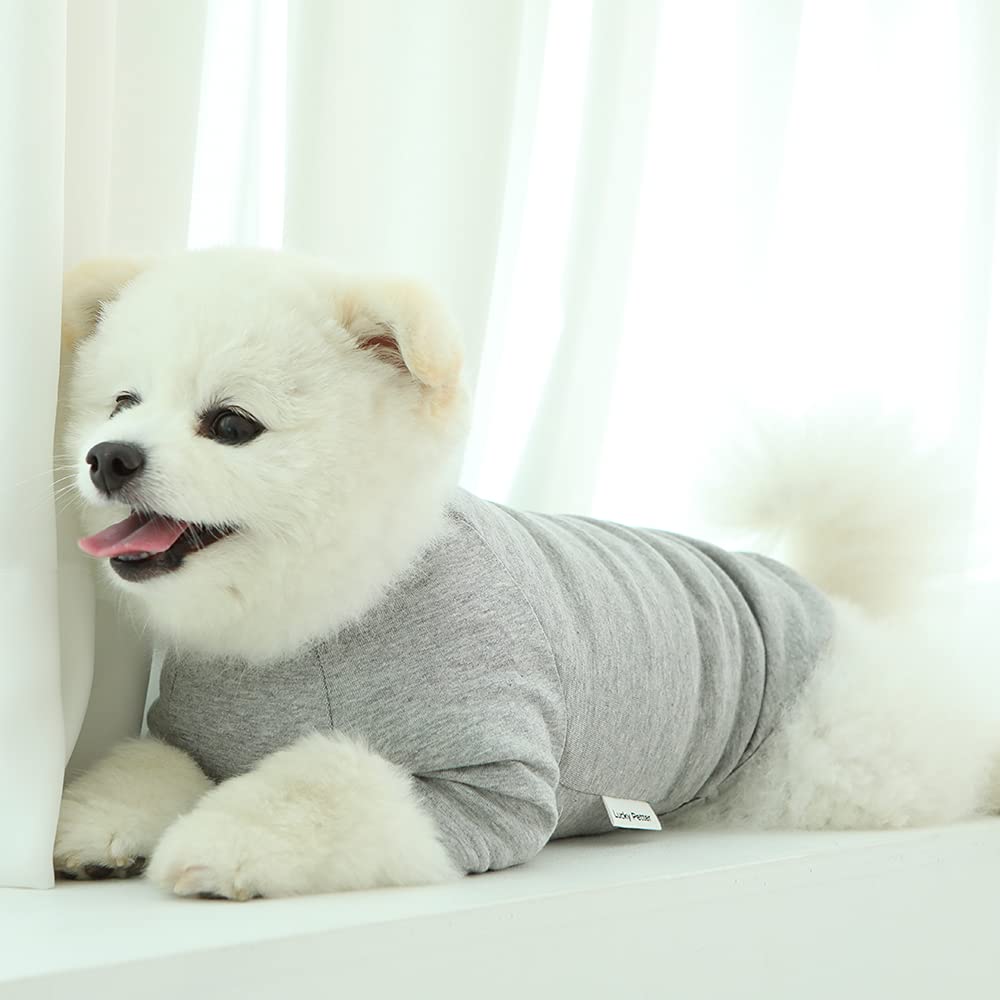 Lucky Petter Dog Shirt For Small Dogs Plain T-Shirts Soft Breathable Dog Cotton Shirt Pet Clothes (Medium, Gray)
