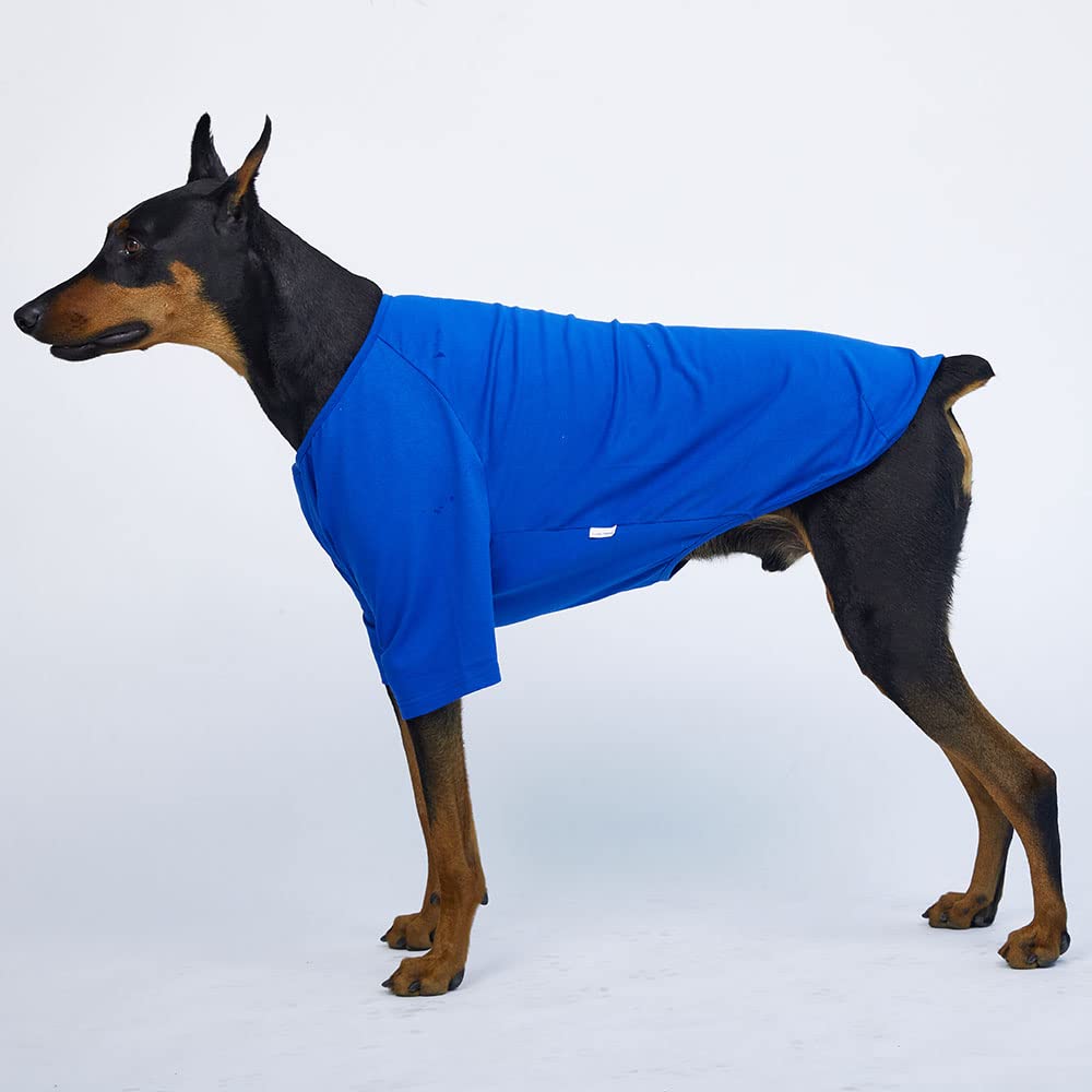Lucky Petter Dog Shirt For Small Dogs Plain T-Shirts Soft Breathable Dog Cotton Shirt Pet Clothes (2X-Large, Blue)