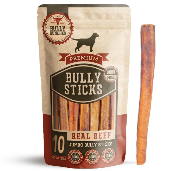 Bully Bunches Premium 12 Inch Jumbo Odor-Free Bully Sticks for Medium & Large Dogs - Long Lasting Chews for Oral Care - All Natu