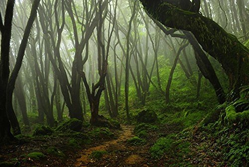 Bannersnstands Reptile Habitat, Terrarium Background, Creepy Mossy Forest Various Sizes (12X50)