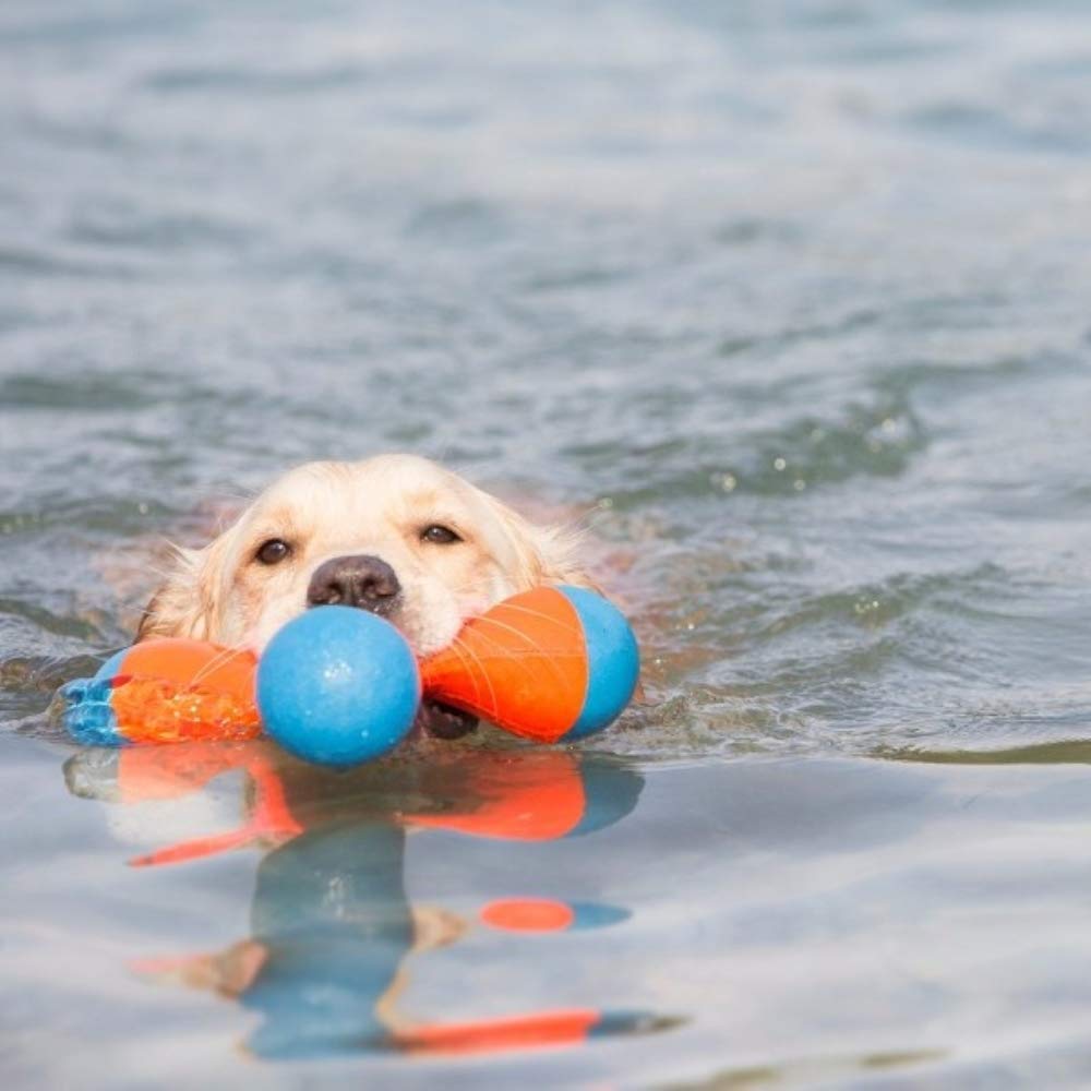 Chuckit! Amphibious Tri-Bumper Fetch Dog Toy, Medium (8.2 Inch),Black
