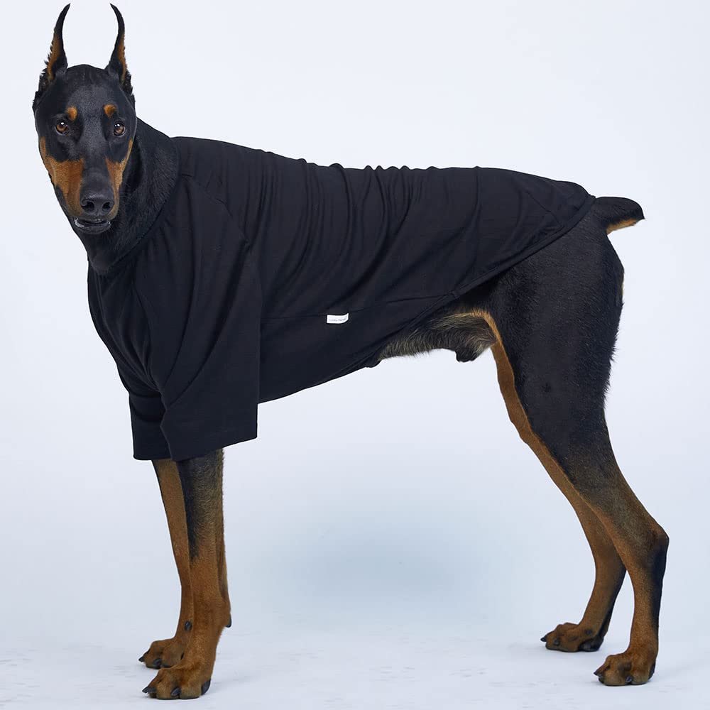 Lucky Petter Dog Shirt For Small Dogs Plain T-Shirts Soft Breathable Dog Cotton Shirt Pet Clothes (2X-Large, Black)