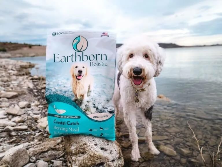 Earthborn Holistic Coastal Catch Herring Meal & Veggies Dry Dog Food 25 lb - Grain-Free, 1 Count