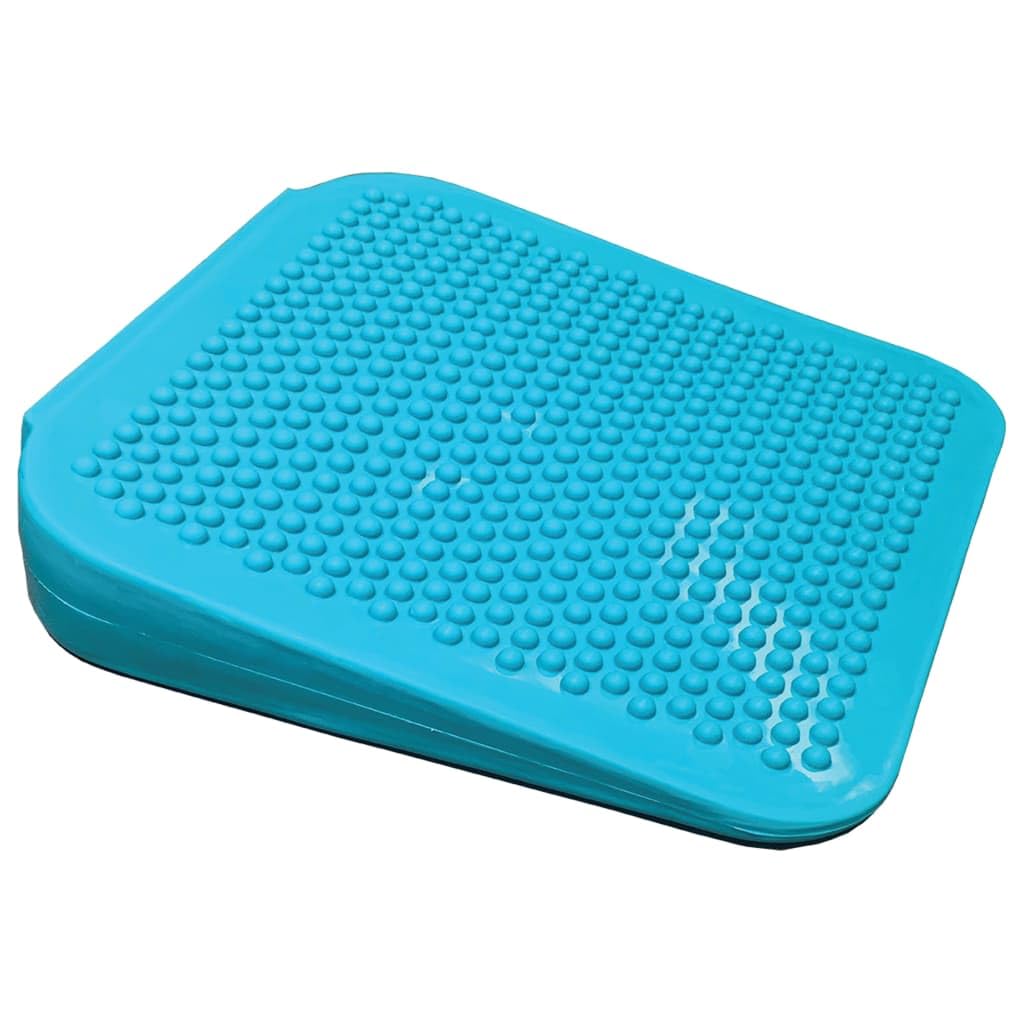 Fitpaws® Balance Ramp, Aqua | Dog Exercise Equipment | Workout Tool For Strength, Core, Stability & Rehabilitation