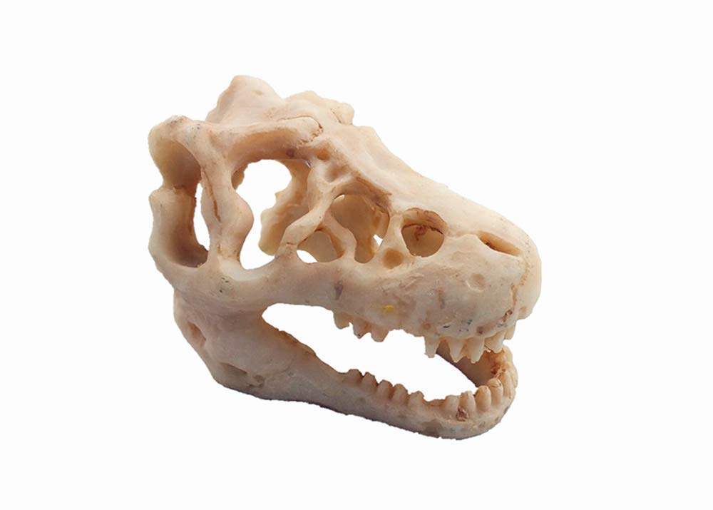 Aquarium Decoration Skeleton Hole Resin Artificial Dinosaur Skull Skeleton Ornament - Fish Tank Small Skull Aquarium Decorations Cave Landscape Pet Reptile House