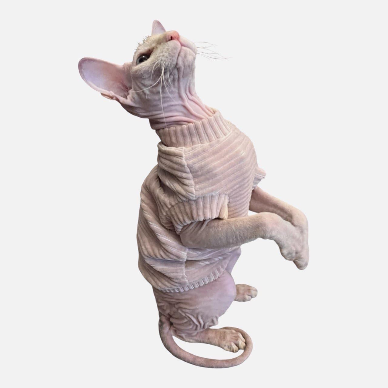 Kotomoda Cat'S T-Shirt Corduroy For Sphynx And Naked Cats, Cat Onsie, Cat Body Suit, Cat Suit, Cat Clothing, Cat Coat, Kitten Ba