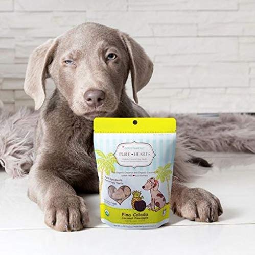 Cocotherapy Pure Hearts Coconut Cookies - Pina Colada (Pineapple Coconut), (1 Pouch), 5 Oz.