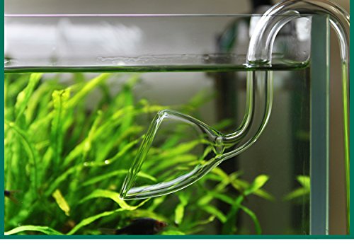 Jardli Glass Lily Pipe Outflow For Aquarium Planted Tank (20Mm For 19/25Mm (3/4' Id) Tubing)