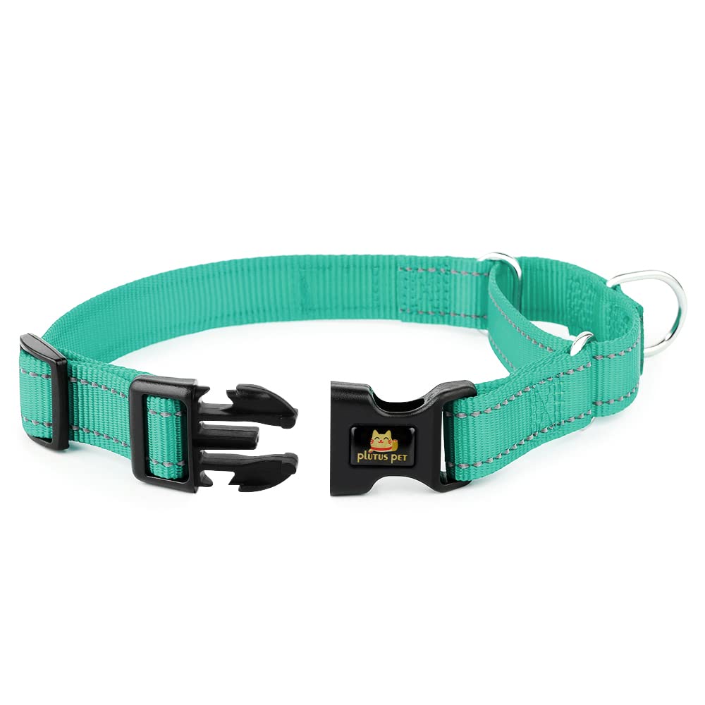 Plutus Pet Reflective Martingale Collar With Buckle - Durable And Adjustable Training Collar For No Pulling, Dog Choker Collar For Small Medium Large Dogs, Teal, S