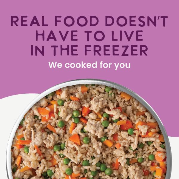 Health Extension Gently Cooked Chicken & Pumpkin Dog Food, Human-Grade & Shelf-Stable with Superfoods, Supports Digestion, Immun