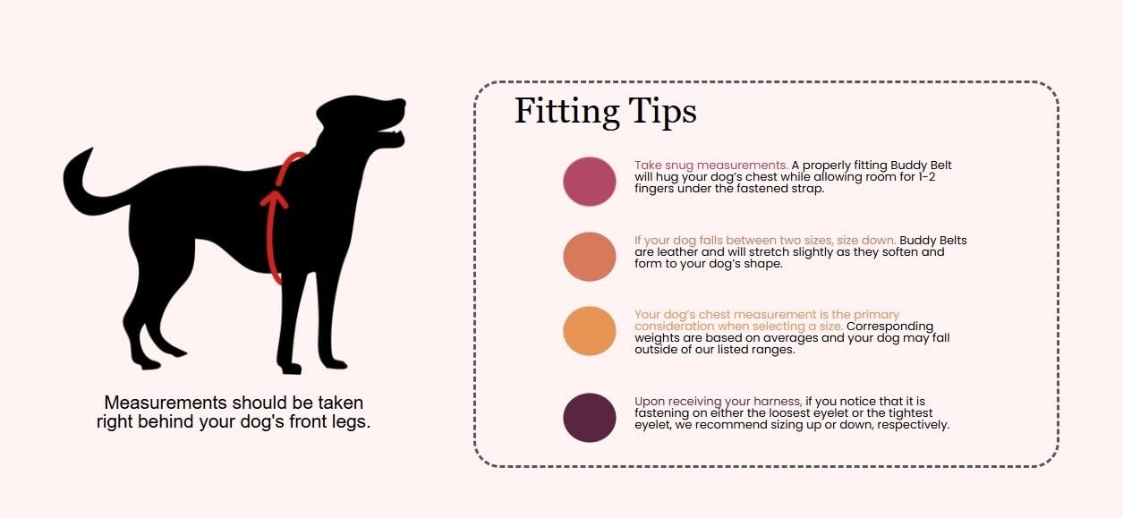Buddy Belt Harness Pebble Grain Black - Premium Edition (6)