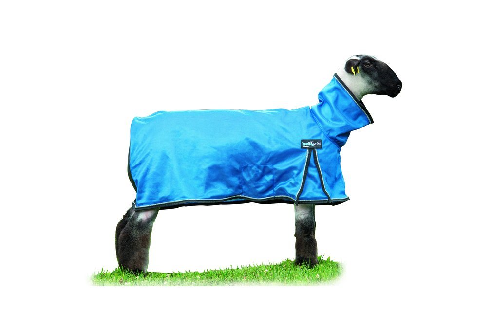 Weaver Leather Livestock ProCool Mesh Sheep Blanket with Reflective Piping, Blue, Small