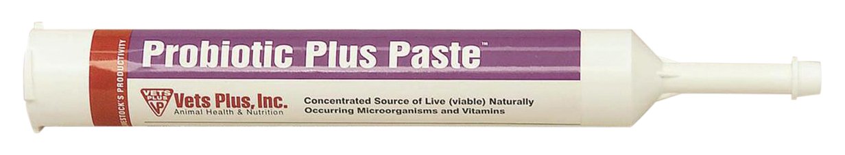 Vets Plus 048653 Probiotic Plus Paste, 300Ml