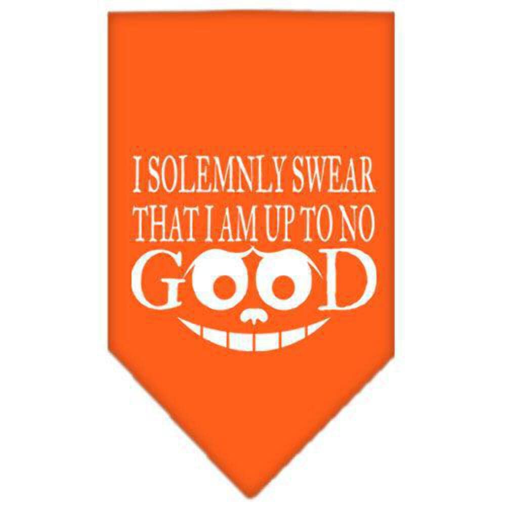 Mirage Pet Products Up to No Good Screen Print Bandana for Pets, Large, Orange