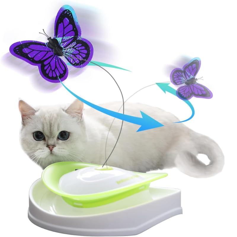 Kittupet 2 In 1 Interactive Cat Teaser Toy Catnip Toy Flutter Bug Cat Wand Toy Cat Fun Playing Toys Kitten Toys