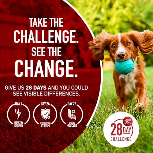 Purina ONE Dry Dog Food Lamb and Rice Formula - 40 lb Bag, High-Quality Nutrition for Dogs