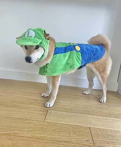 ComfyCamper Dog Costume - Hat & Suspenders, Large, Green, Polyester, X Large Medium Small Lab Star Space, Perfect for Halloween