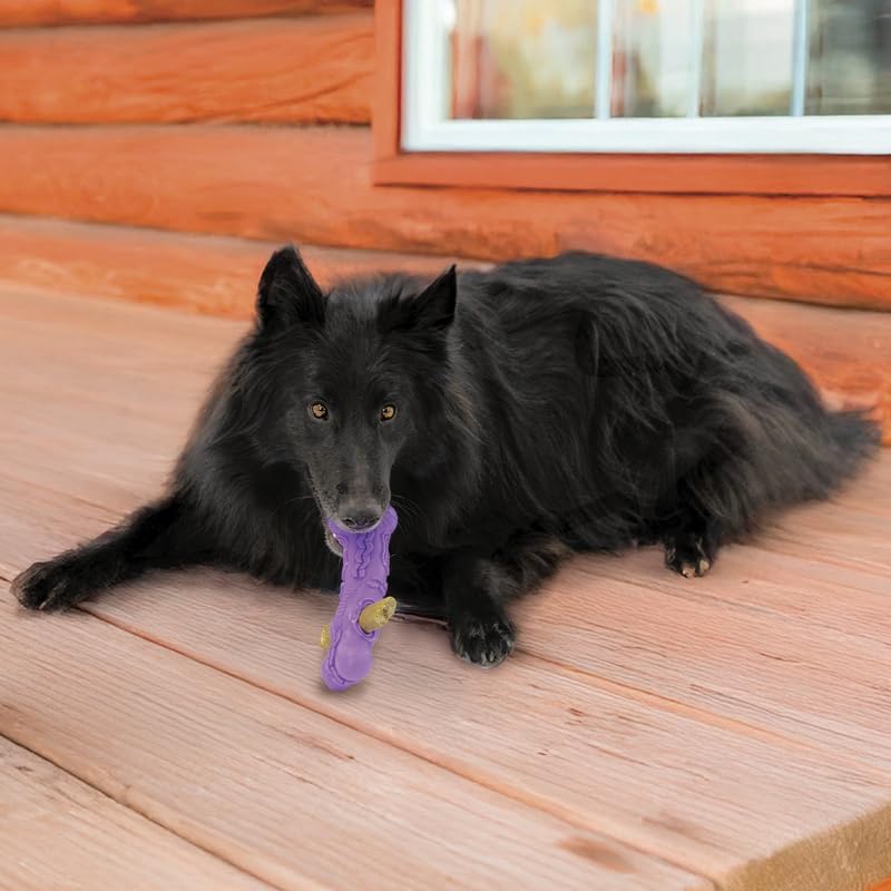 KONG Squeezz Flex Bone - Interactive Dog Toy for Medium Breeds, Purple, Thermoplastic Rubber, Fetch & Chew Holder