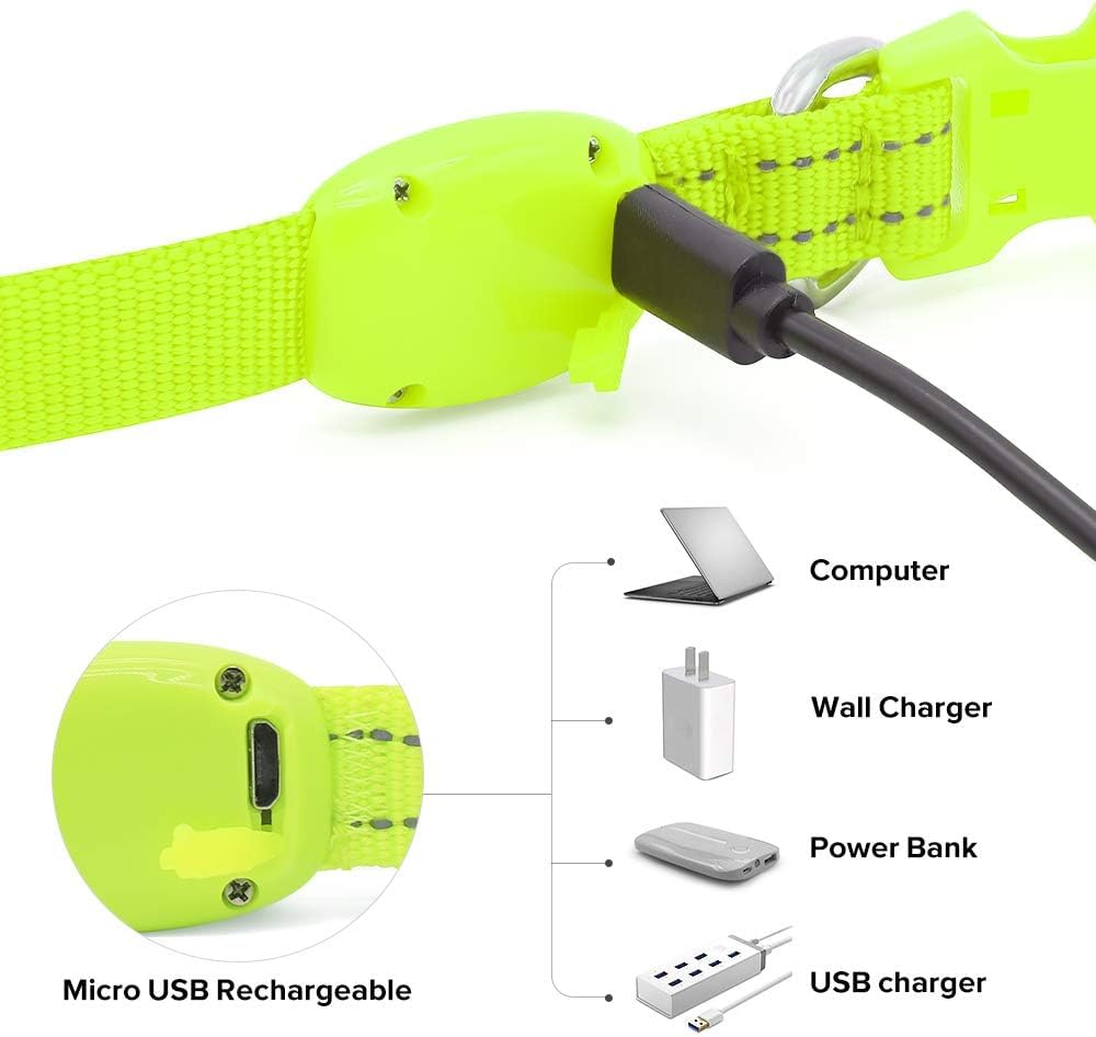 Bseen Light Up Dog Collars - Glowing Led Dog Collar Rechargeable Puppy Collar For Small Dogs & Cats, Safety Dog Lights For Night